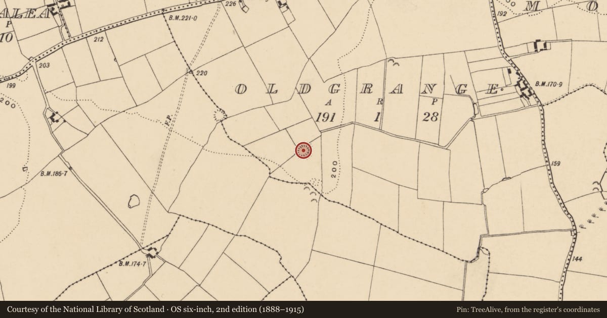 Ordnance Survey six-inch map, 2nd edition (1888–1915) covering the location of Ringfort - rath, Oldgrange, County Tipperary South, with a pin at the register's coordinates