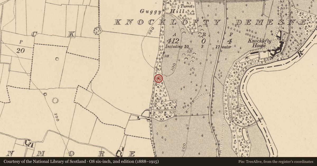 Ordnance Survey six-inch map, 2nd edition (1888–1915) covering the location of Enclosure, Knocklofty Demesne, County Tipperary South, with a pin at the register's coordinates