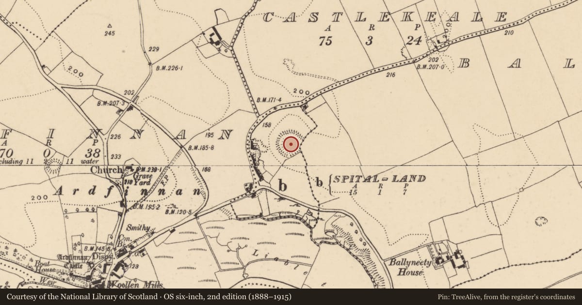 Ordnance Survey six-inch map, 2nd edition (1888–1915) covering the location of Ringfort - rath, Ballyneety (Ardfinnan Par.), Spital-Land (Ardfinnan Par.), County Tipperary South, with a pin at the register's coordinates