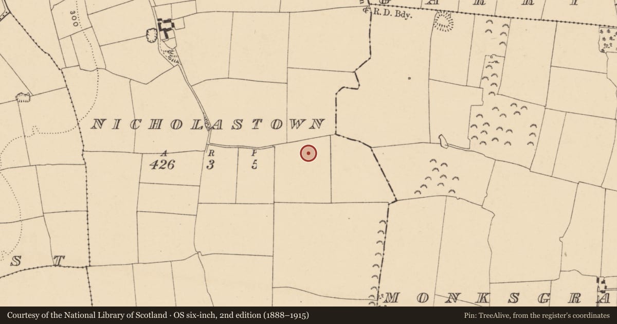 Ordnance Survey six-inch map, 2nd edition (1888–1915) covering the location of Enclosure, Nicholastown, County Tipperary South, with a pin at the register's coordinates