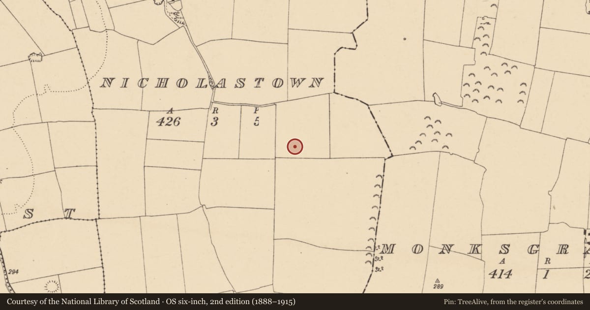 Ordnance Survey six-inch map, 2nd edition (1888–1915) covering the location of Enclosure, Nicholastown, County Tipperary South, with a pin at the register's coordinates