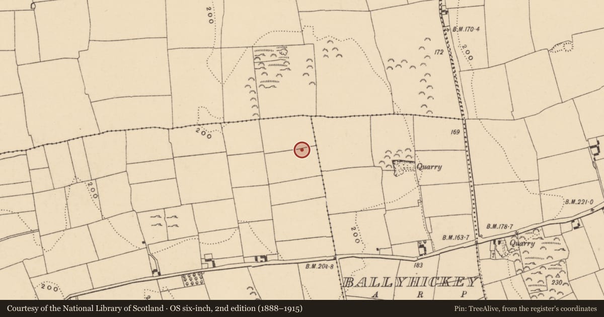 Ordnance Survey six-inch map, 2nd edition (1888–1915) covering the location of Enclosure, Rochestown, County Tipperary South, with a pin at the register's coordinates