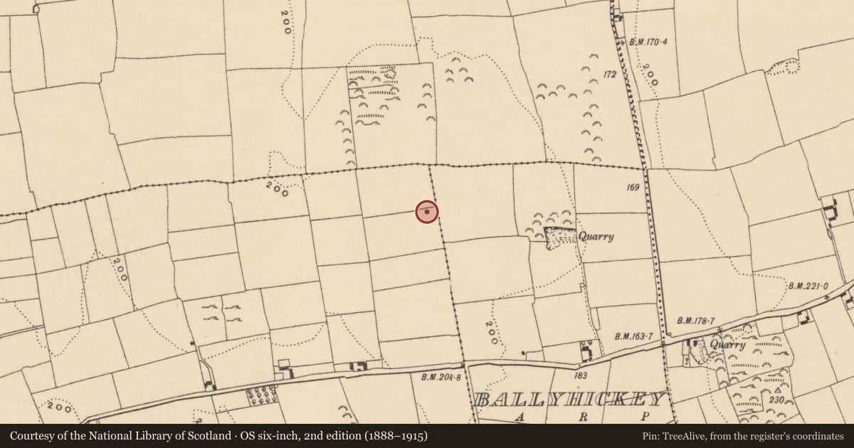 Ordnance Survey six-inch map, 2nd edition (1888–1915) covering the location of Enclosure, Rochestown, County Tipperary South, with a pin at the register's coordinates