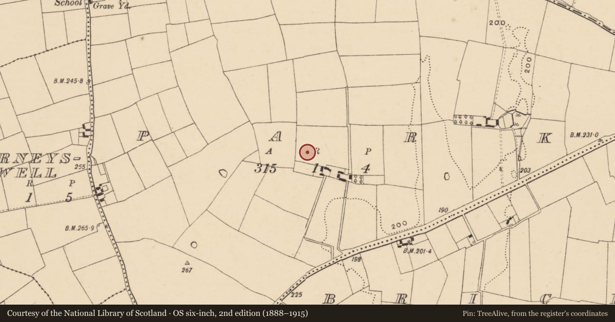 Ordnance Survey six-inch map, 2nd edition (1888–1915) covering the location of Enclosure, Park (Tullaghmelan Par.), County Tipperary South, with a pin at the register's coordinates