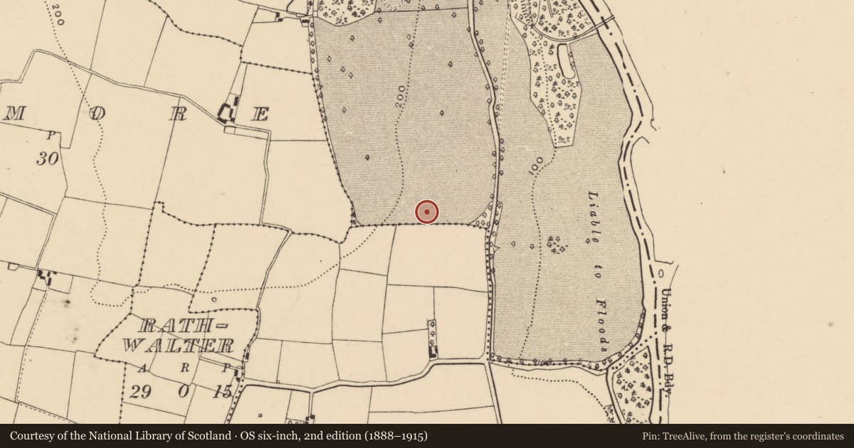Ordnance Survey six-inch map, 2nd edition (1888–1915) covering the location of Pit, Knocklofty Demesne, County Tipperary South, with a pin at the register's coordinates
