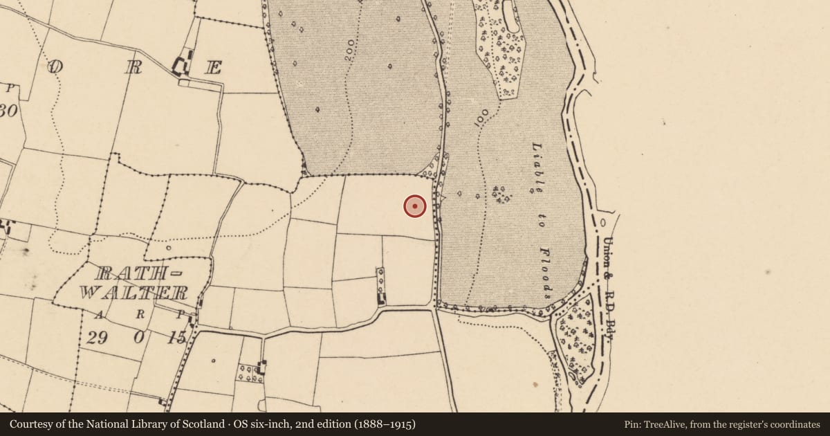 Ordnance Survey six-inch map, 2nd edition (1888–1915) covering the location of Pit, Knocklofty Demesne, County Tipperary South, with a pin at the register's coordinates