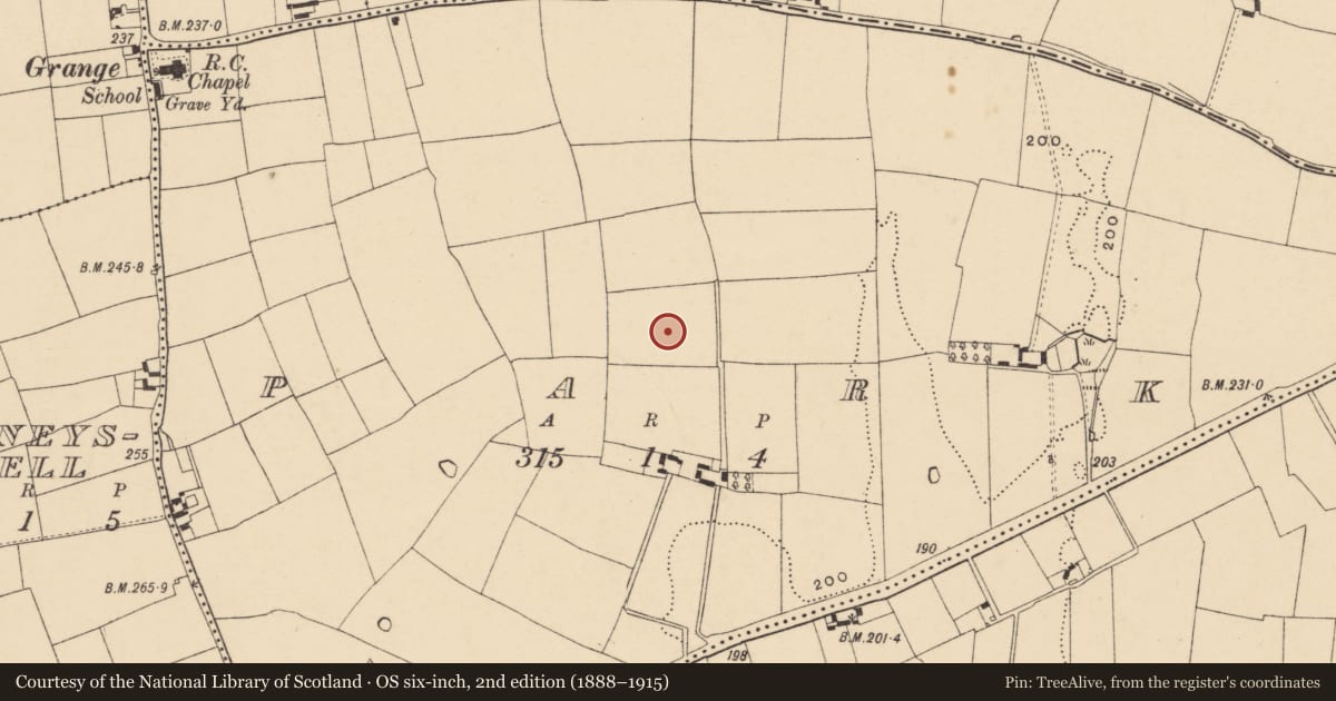 Ordnance Survey six-inch map, 2nd edition (1888–1915) covering the location of Enclosure, Park (Tullaghmelan Par.), County Tipperary South, with a pin at the register's coordinates