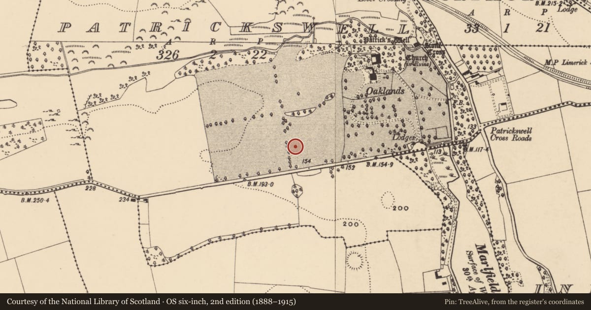 Ordnance Survey six-inch map, 2nd edition (1888–1915) covering the location of Ringfort - rath, Patrickswell (Inishlounaght Par.), County Tipperary South, with a pin at the register's coordinates