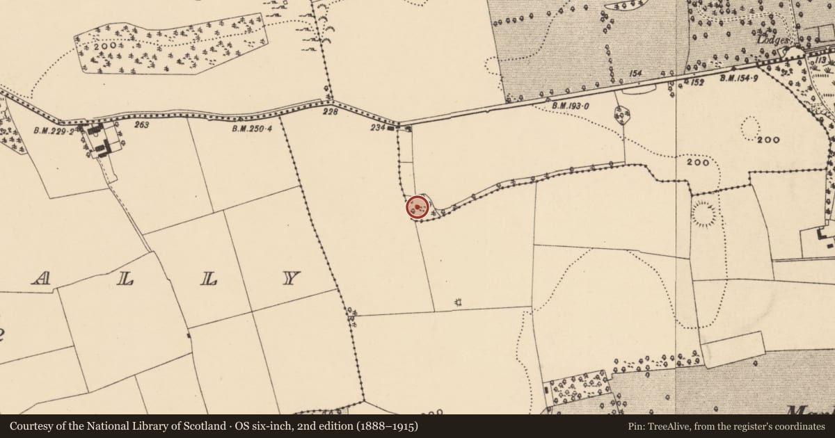 Ordnance Survey six-inch map, 2nd edition (1888–1915) covering the location of Castle - ringwork, Marlfield, Patrickswell (Inishlounaght Par.), County Tipperary South, with a pin at the register's coordinates