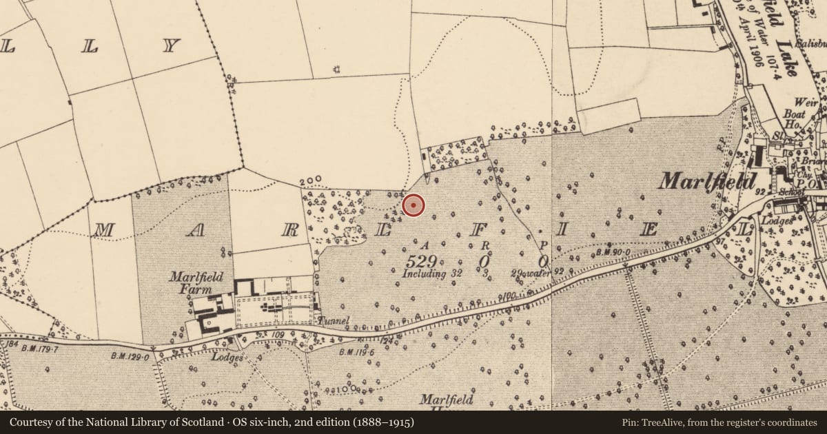 Ordnance Survey six-inch map, 2nd edition (1888–1915) covering the location of Burial ground, Marlfield, County Tipperary South, with a pin at the register's coordinates