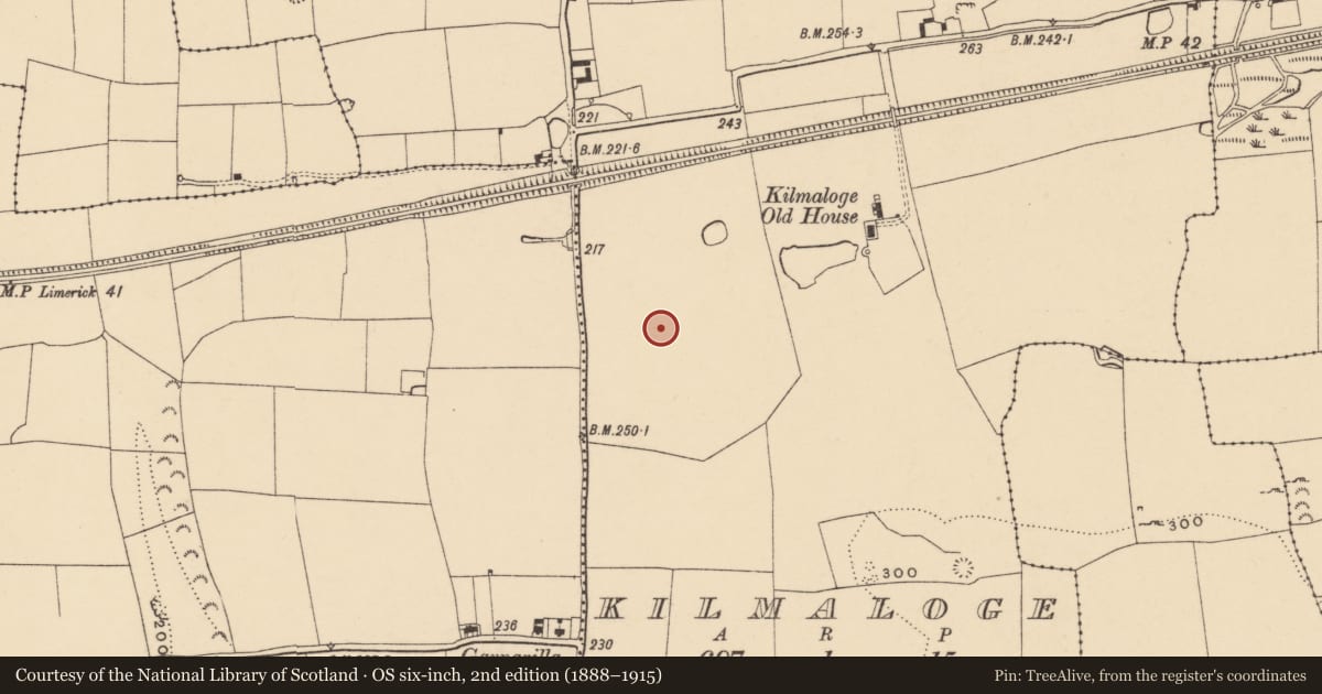 Ordnance Survey six-inch map, 2nd edition (1888–1915) covering the location of Standing stone, Kilmaloge, County Tipperary South, with a pin at the register's coordinates