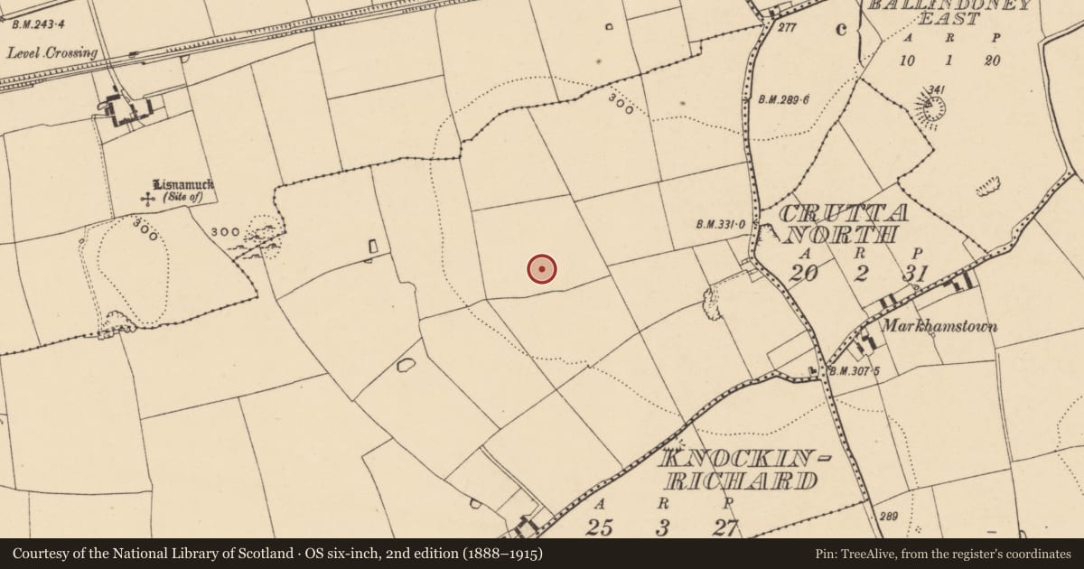 Ordnance Survey six-inch map, 2nd edition (1888–1915) covering the location of Enclosure, Ballindoney West, County Tipperary South, with a pin at the register's coordinates