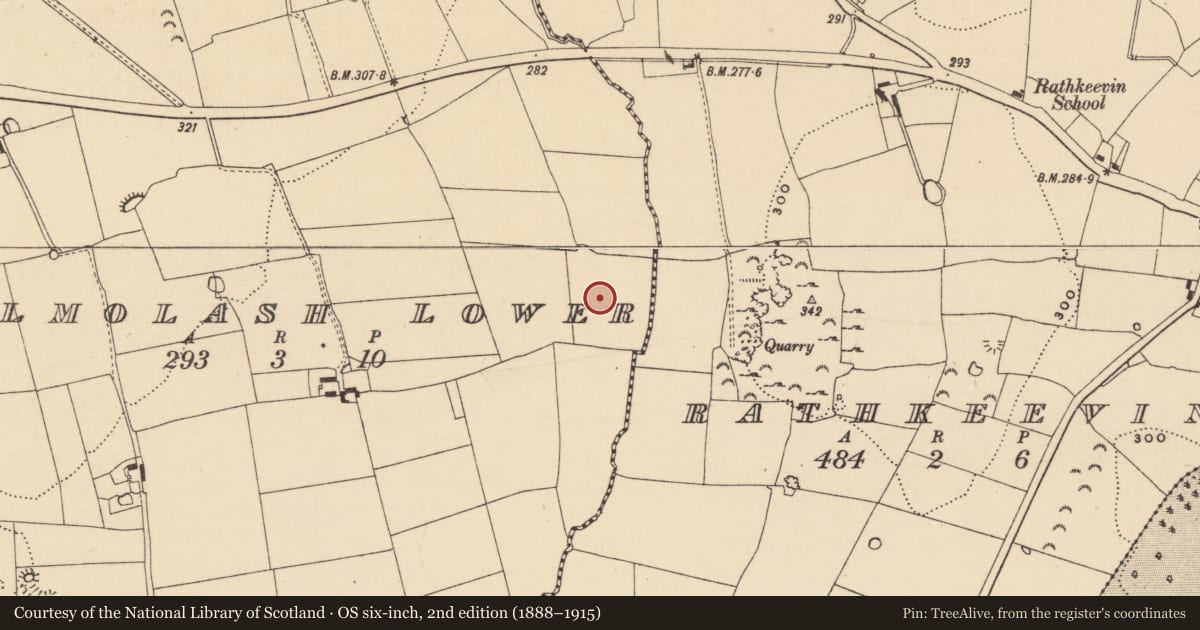 Ordnance Survey six-inch map, 2nd edition (1888–1915) covering the location of Mound, Kilmolash Lower, County Tipperary South, with a pin at the register's coordinates