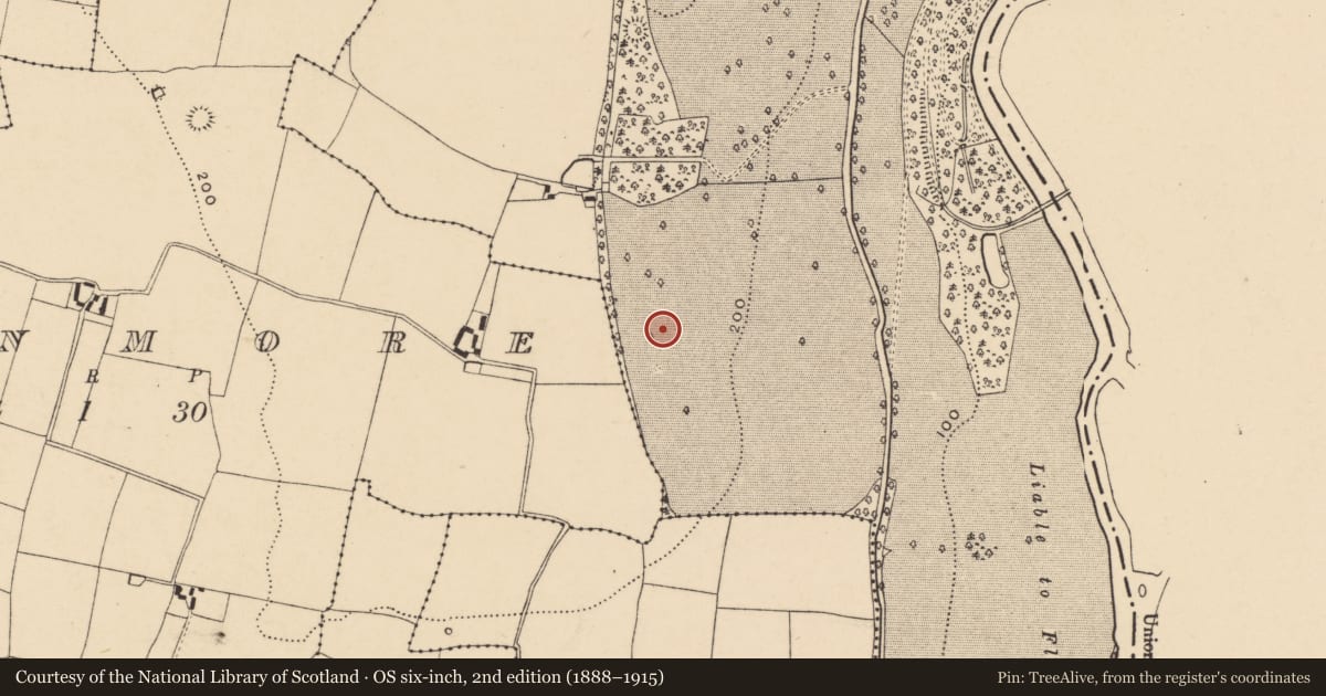 Ordnance Survey six-inch map, 2nd edition (1888–1915) covering the location of Enclosure, Knocklofty Demesne, County Tipperary South, with a pin at the register's coordinates