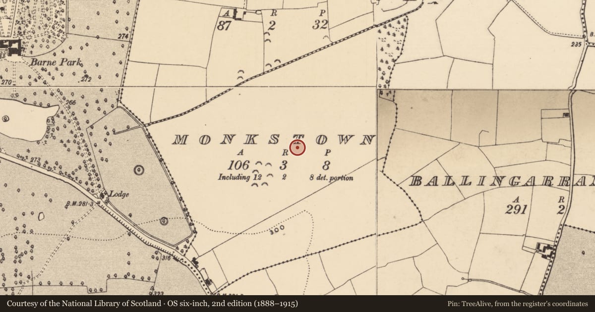 Ordnance Survey six-inch map, 2nd edition (1888–1915) covering the location of Enclosure, Monkstown (Inishlounaght Par.), County Tipperary South, with a pin at the register's coordinates
