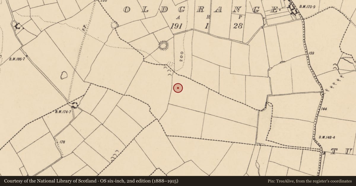 Ordnance Survey six-inch map, 2nd edition (1888–1915) covering the location of Enclosure, Ballyneety (Tullaghmelan Par.), County Tipperary South, with a pin at the register's coordinates