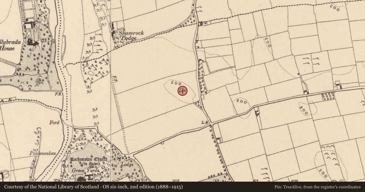 Ordnance Survey six-inch map, 2nd edition (1888–1915) covering the location of Barrow - mound barrow, Rochestown, County Tipperary South, with a pin at the register's coordinates