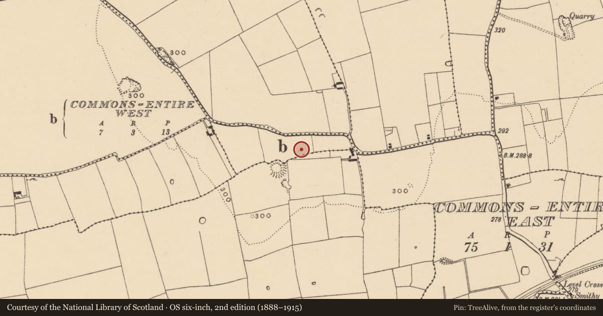 Ordnance Survey six-inch map, 2nd edition (1888–1915) covering the location of Enclosure, Commons-Entire West, County Tipperary South, with a pin at the register's coordinates