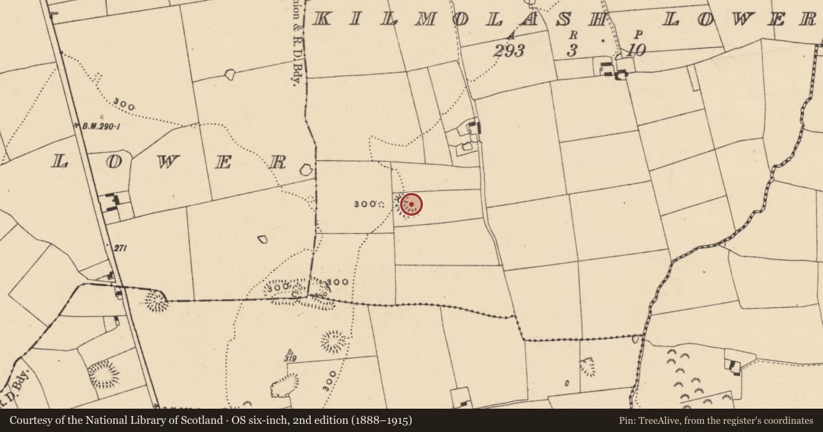 Ordnance Survey six-inch map, 2nd edition (1888–1915) covering the location of Enclosure, Kilmolash Lower, County Tipperary South, with a pin at the register's coordinates