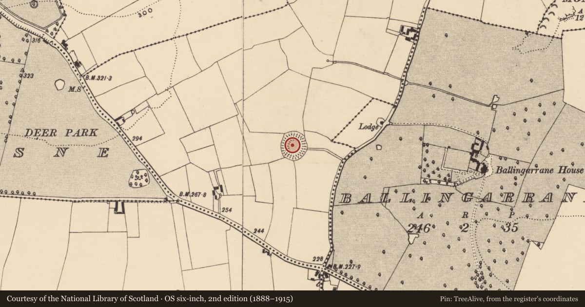 Ordnance Survey six-inch map, 2nd edition (1888–1915) covering the location of Ringfort - rath, Ballingarrane North, County Tipperary South, with a pin at the register's coordinates