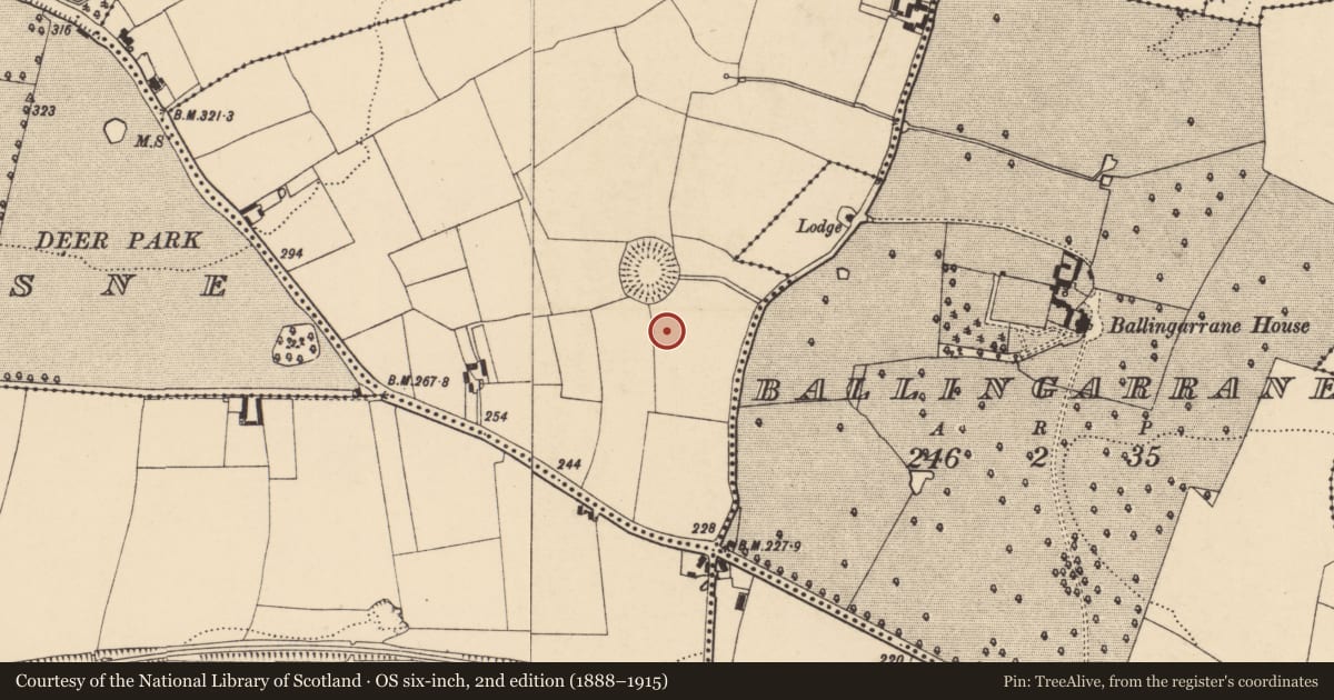 Ordnance Survey six-inch map, 2nd edition (1888–1915) covering the location of Enclosure, Ballingarrane North, County Tipperary South, with a pin at the register's coordinates
