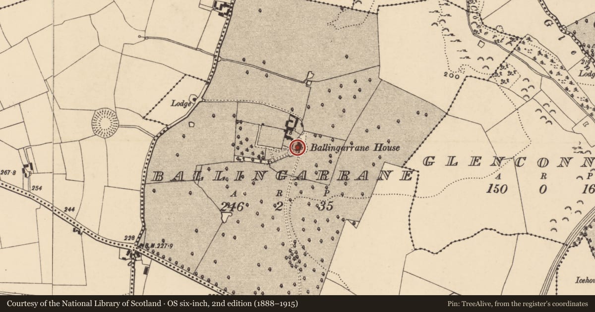 Ordnance Survey six-inch map, 2nd edition (1888–1915) covering the location of Architectural feature, Ballingarrane, County Tipperary South, with a pin at the register's coordinates