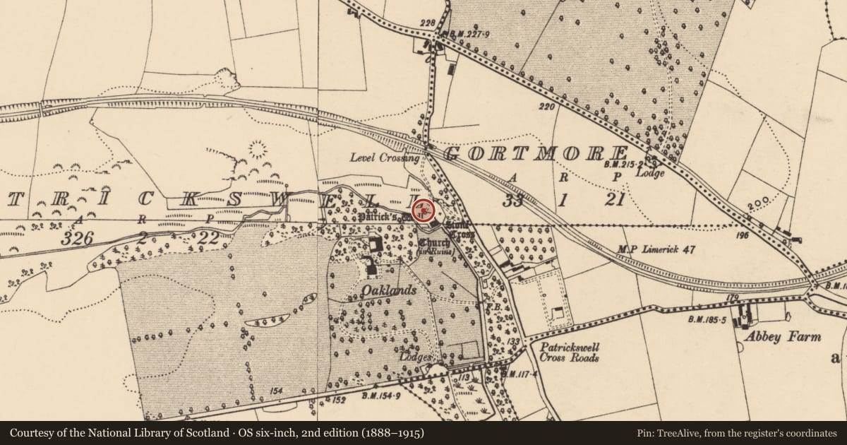 Ordnance Survey six-inch map, 2nd edition (1888–1915) covering the location of Ritual site - holy well, Patrickswell (Inishlounaght Par.), County Tipperary South, with a pin at the register's coordinates