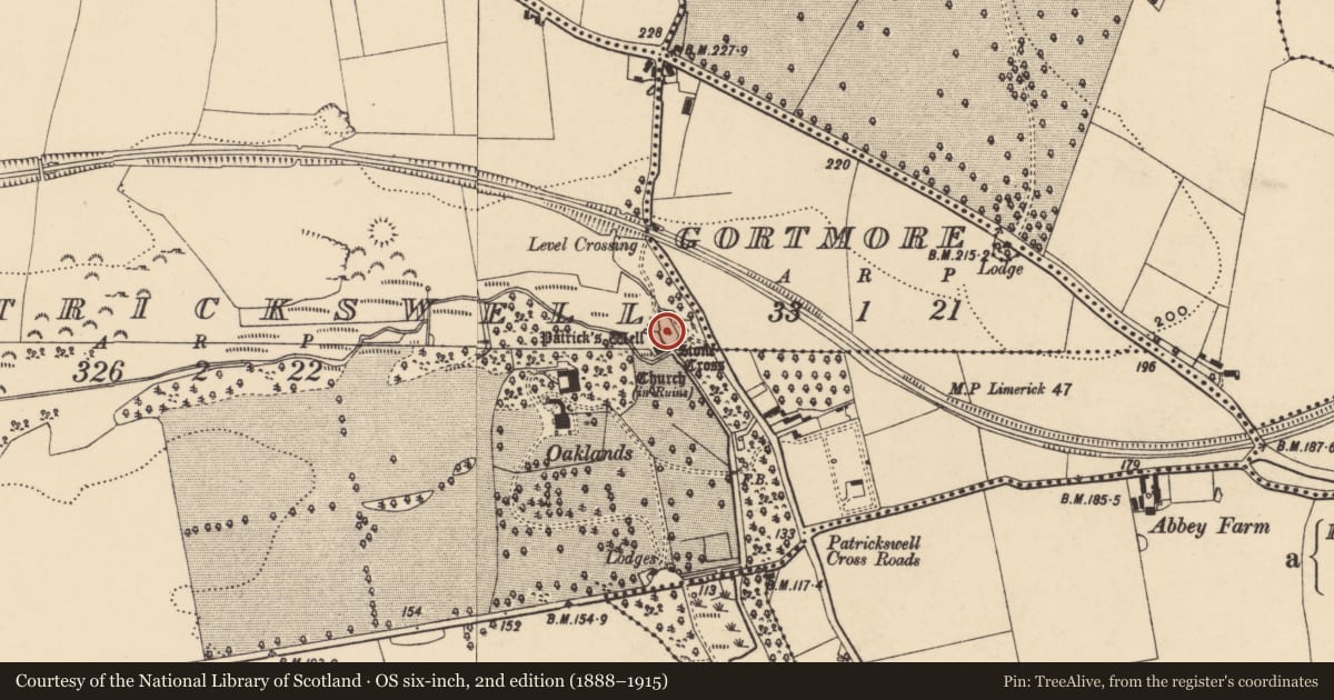 Ordnance Survey six-inch map, 2nd edition (1888–1915) covering the location of Cross, Patrickswell (Inishlounaght Par.), County Tipperary South, with a pin at the register's coordinates