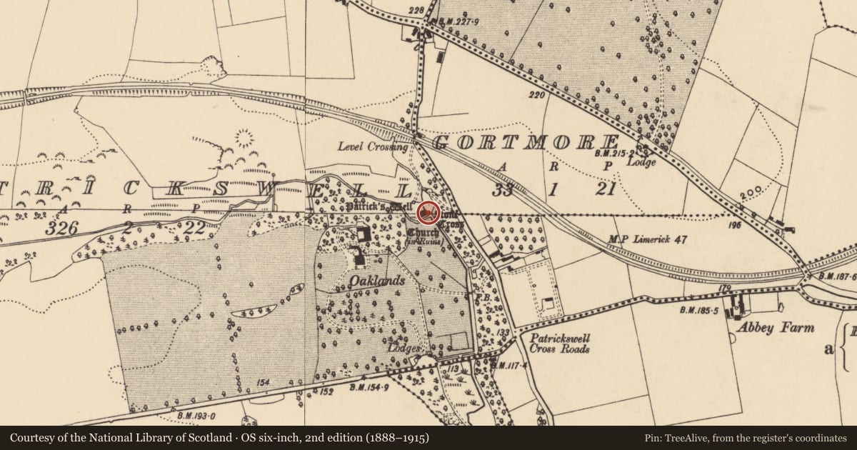 Ordnance Survey six-inch map, 2nd edition (1888–1915) covering the location of Architectural fragment, Patrickswell (Inishlounaght Par.), County Tipperary South, with a pin at the register's coordinates