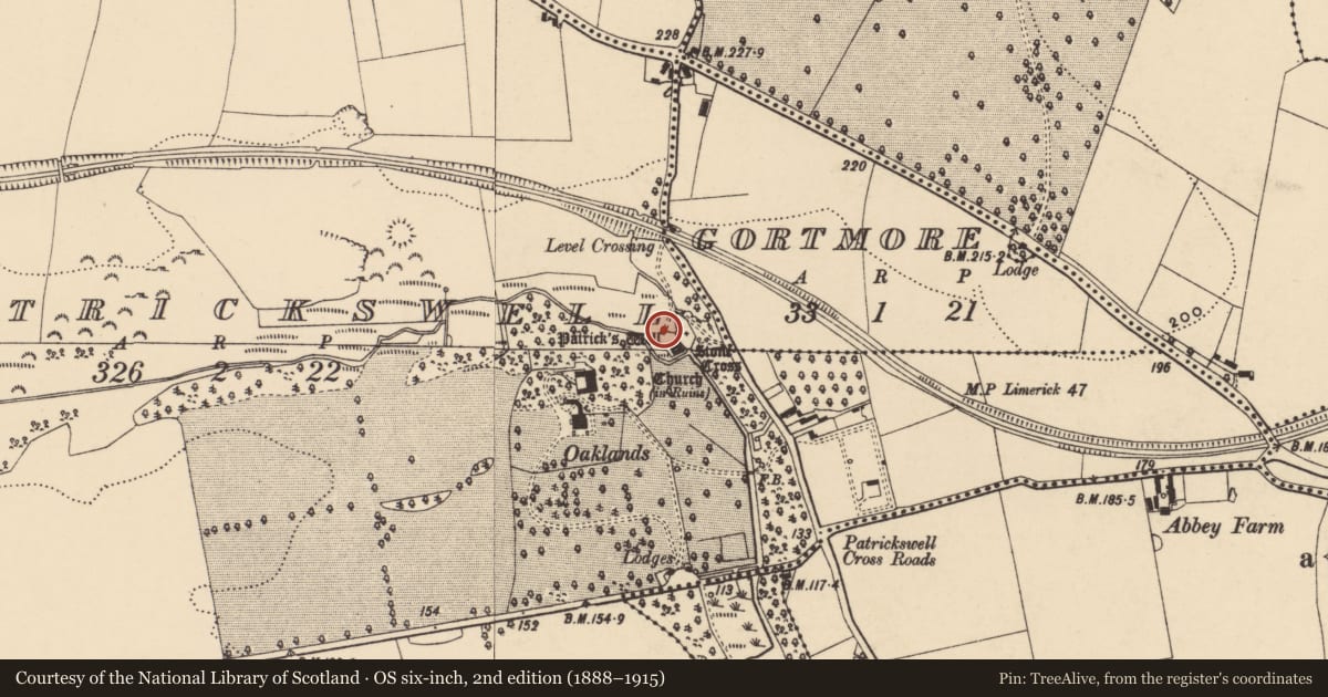 Ordnance Survey six-inch map, 2nd edition (1888–1915) covering the location of Architectural feature, Patrickswell (Inishlounaght Par.), County Tipperary South, with a pin at the register's coordinates