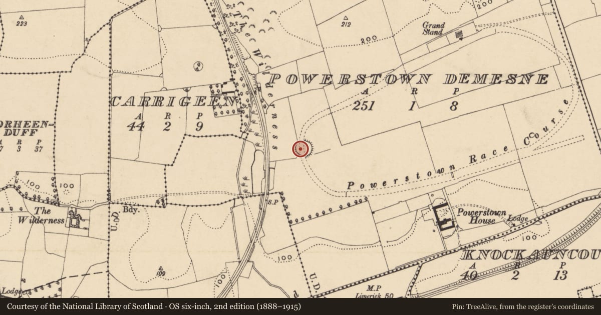 Ordnance Survey six-inch map, 2nd edition (1888–1915) covering the location of Enclosure, Powerstown Demesne (St. Mary's Clonmel Par.), County Tipperary South, with a pin at the register's coordinates