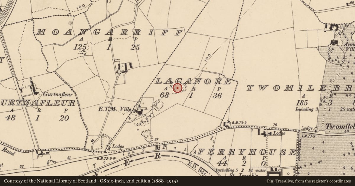 Ordnance Survey six-inch map, 2nd edition (1888–1915) covering the location of Ringfort - rath, Laganore, County Tipperary South, with a pin at the register's coordinates