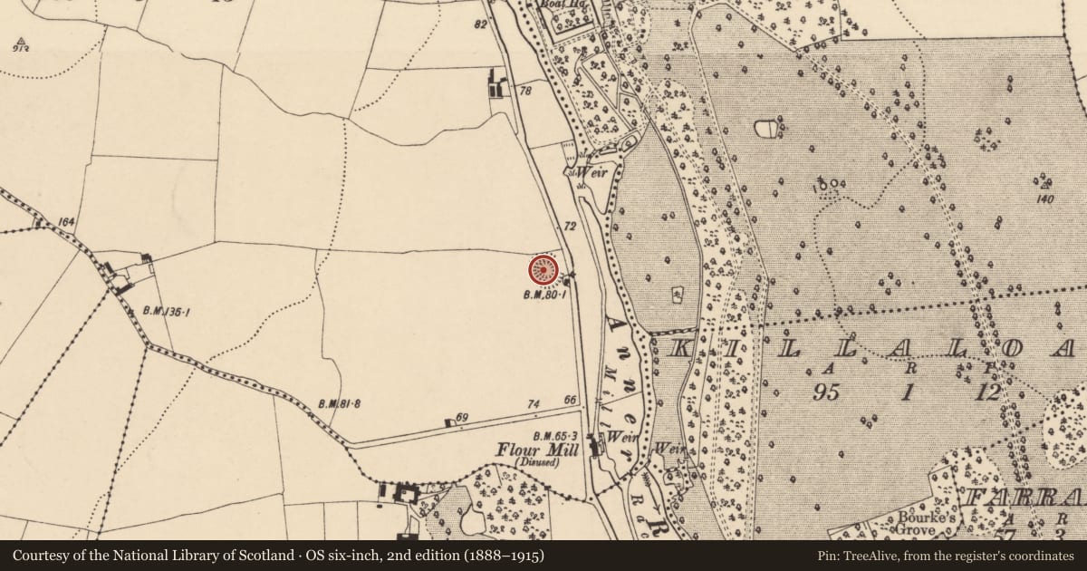 Ordnance Survey six-inch map, 2nd edition (1888–1915) covering the location of Ringfort - rath, Redmondstown, County Tipperary South, with a pin at the register's coordinates