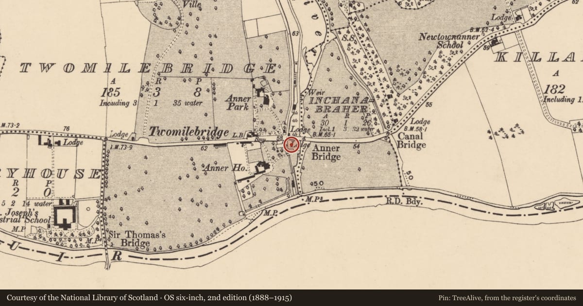 Ordnance Survey six-inch map, 2nd edition (1888–1915) covering the location of Water mill - unclassified, Twomilebridge, County Tipperary South, with a pin at the register's coordinates