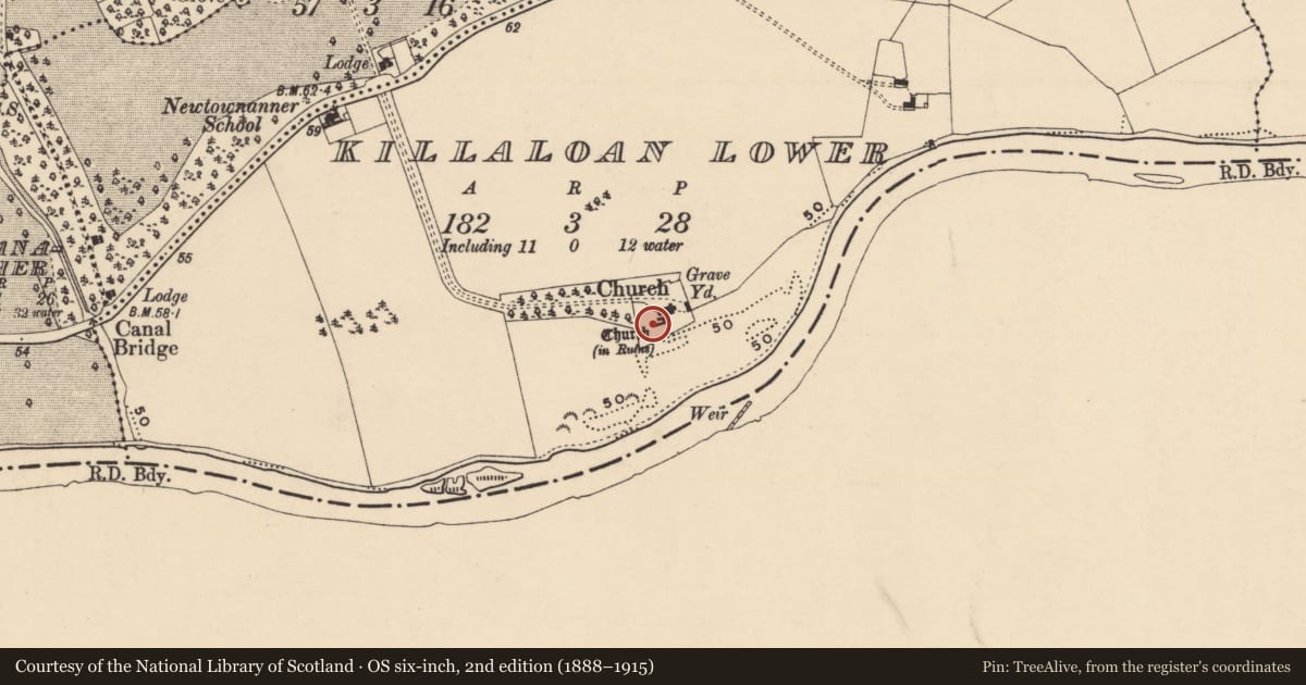 Ordnance Survey six-inch map, 2nd edition (1888–1915) covering the location of Church, Killaloan Lower, County Tipperary South, with a pin at the register's coordinates