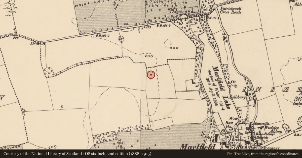 Ordnance Survey six-inch map, 2nd edition (1888–1915) covering the location of Ringfort - rath, Marlfield, County Tipperary South, with a pin at the register's coordinates