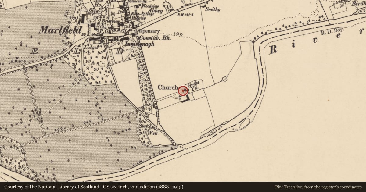 Ordnance Survey six-inch map, 2nd edition (1888–1915) covering the location of Graveslab, Inishlounaght, County Tipperary South, with a pin at the register's coordinates