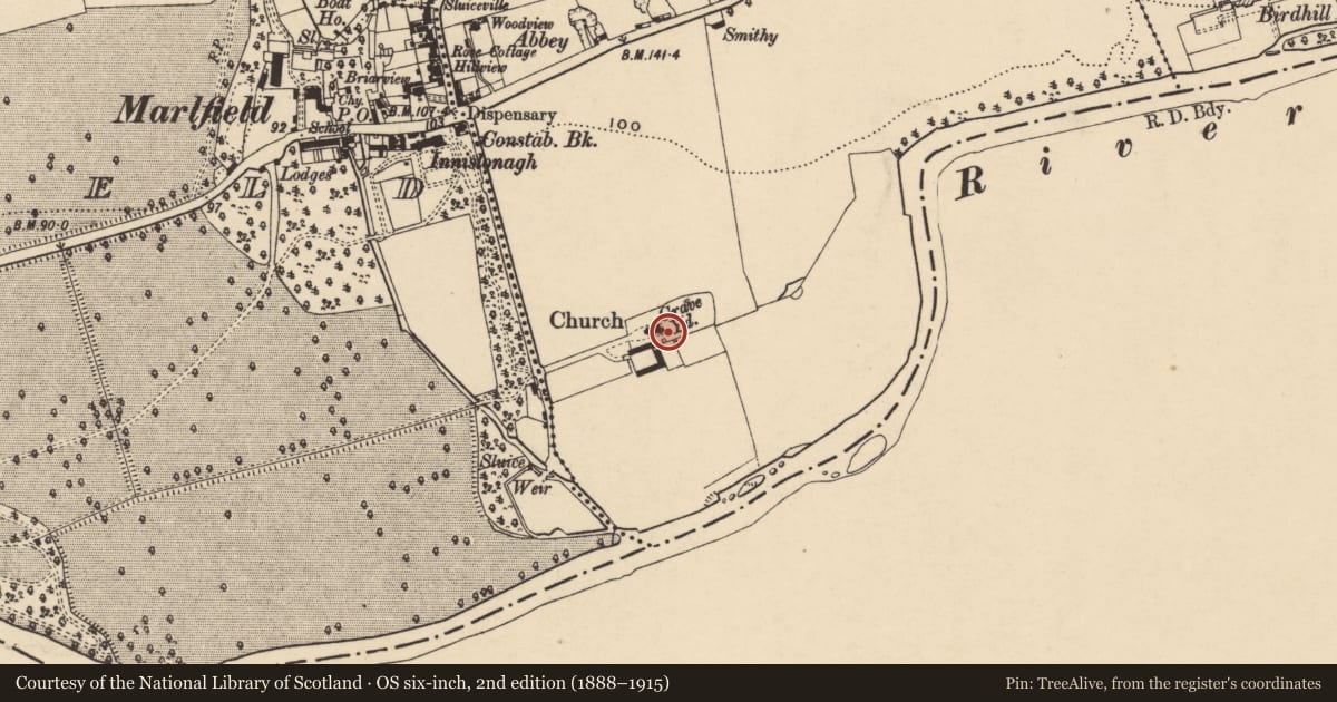 Ordnance Survey six-inch map, 2nd edition (1888–1915) covering the location of Graveslab, Inishlounaght, County Tipperary South, with a pin at the register's coordinates