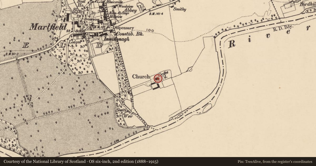 Ordnance Survey six-inch map, 2nd edition (1888–1915) covering the location of Graveyard, Inishlounaght, County Tipperary South, with a pin at the register's coordinates