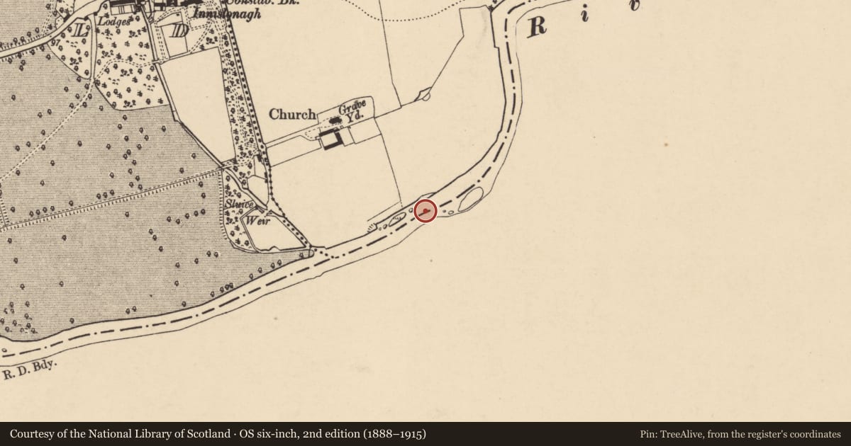 Ordnance Survey six-inch map, 2nd edition (1888–1915) covering the location of Weir - fish, Inishlounaght, County Tipperary South, with a pin at the register's coordinates