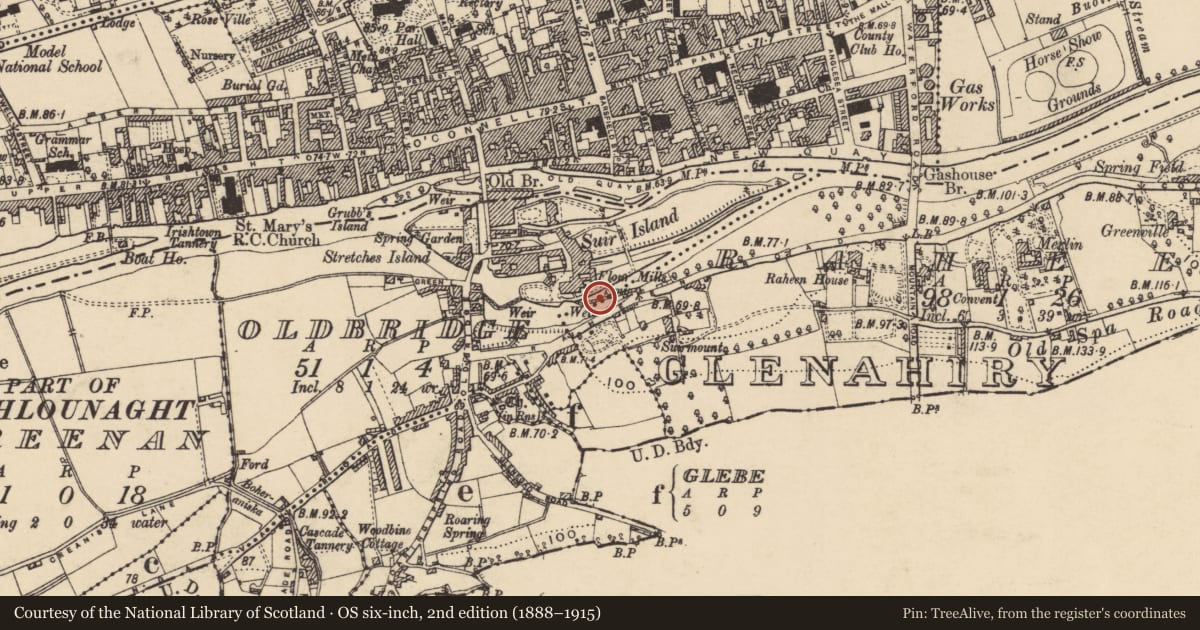 Ordnance Survey six-inch map, 2nd edition (1888–1915) covering the location of Weir - regulating, Oldbridge, County Tipperary South, with a pin at the register's coordinates