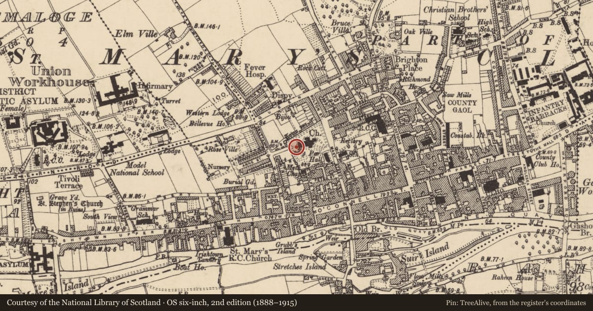 Ordnance Survey six-inch map, 2nd edition (1888–1915) covering the location of Graveslab, Burgagery-Lands West, County Tipperary South, with a pin at the register's coordinates