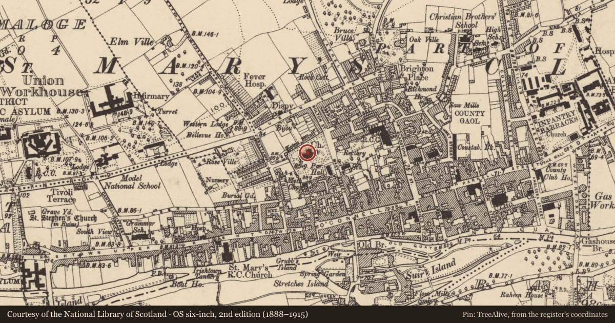 Ordnance Survey six-inch map, 2nd edition (1888–1915) covering the location of Graveslab, Burgagery-Lands West, County Tipperary South, with a pin at the register's coordinates