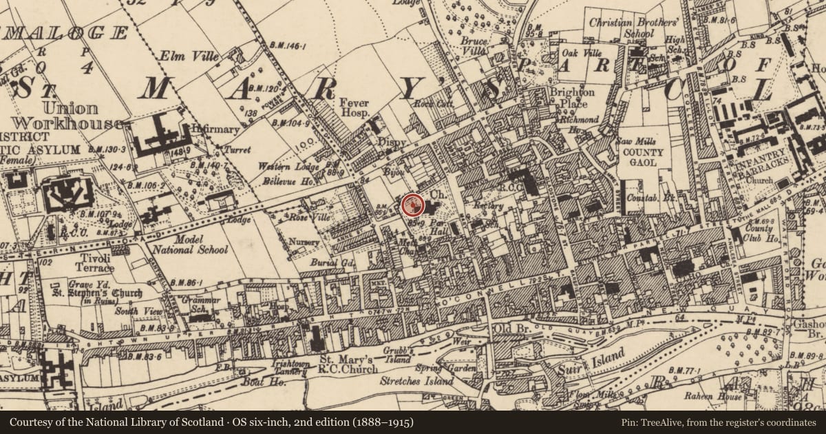 Ordnance Survey six-inch map, 2nd edition (1888–1915) covering the location of Graveslab, Burgagery-Lands West, County Tipperary South, with a pin at the register's coordinates