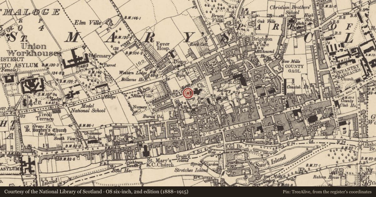 Ordnance Survey six-inch map, 2nd edition (1888–1915) covering the location of Graveslab, Burgagery-Lands West, County Tipperary South, with a pin at the register's coordinates