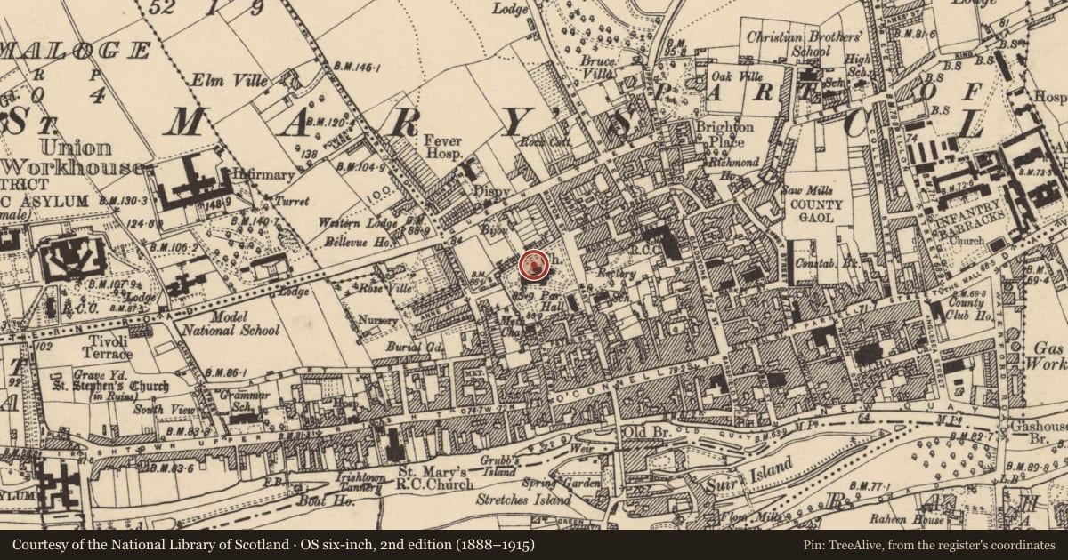 Ordnance Survey six-inch map, 2nd edition (1888–1915) covering the location of Graveslab, Burgagery-Lands West, County Tipperary South, with a pin at the register's coordinates
