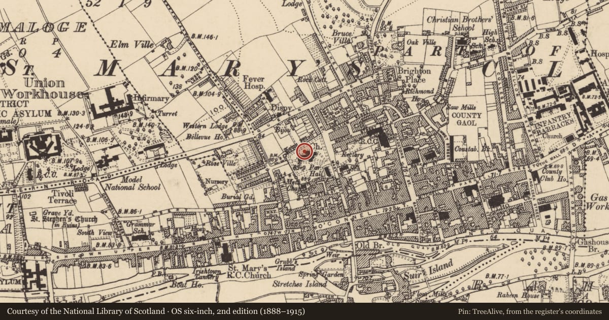 Ordnance Survey six-inch map, 2nd edition (1888–1915) covering the location of Graveslab, Burgagery-Lands West, County Tipperary South, with a pin at the register's coordinates