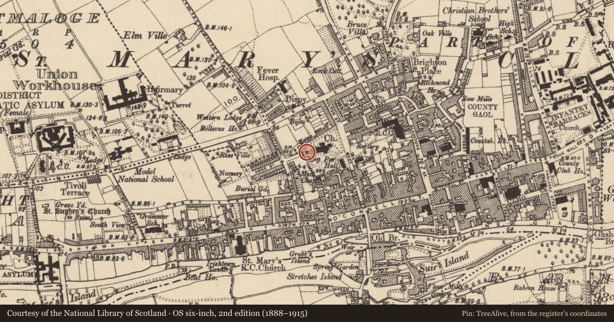 Ordnance Survey six-inch map, 2nd edition (1888–1915) covering the location of Graveslab, Burgagery-Lands West, County Tipperary South, with a pin at the register's coordinates