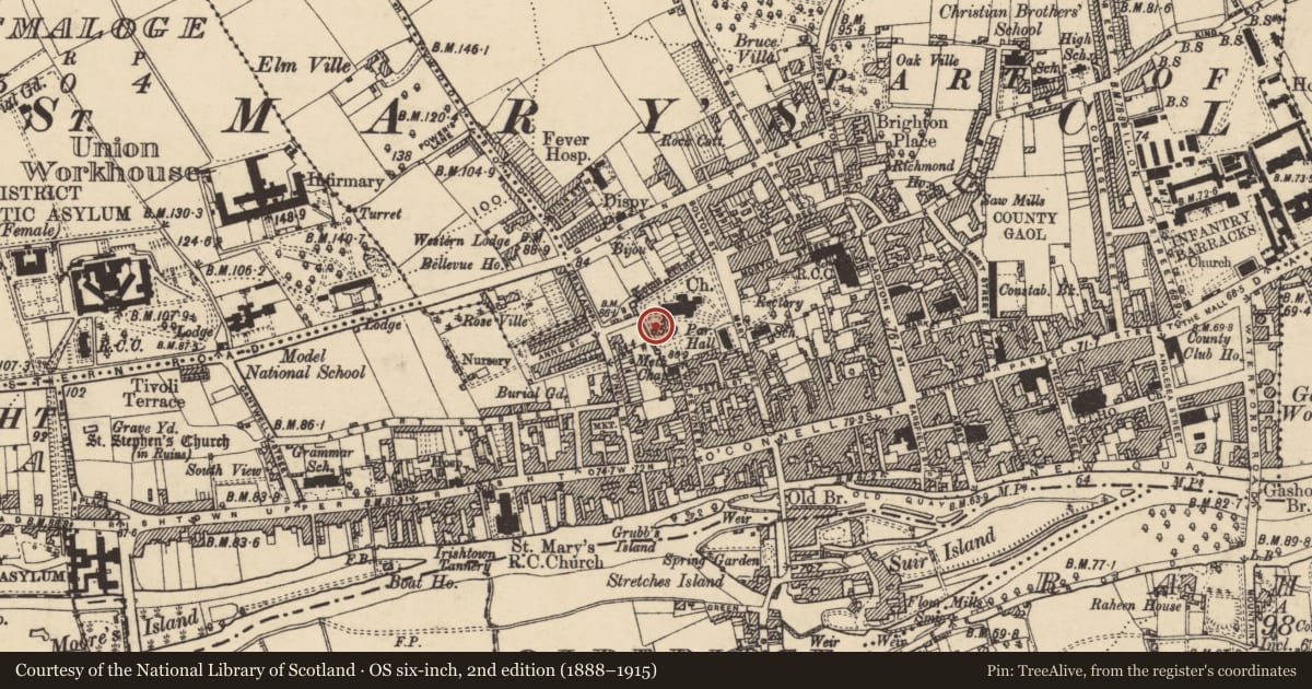 Ordnance Survey six-inch map, 2nd edition (1888–1915) covering the location of Graveslab, Burgagery-Lands West, County Tipperary South, with a pin at the register's coordinates