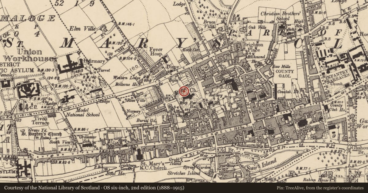 Ordnance Survey six-inch map, 2nd edition (1888–1915) covering the location of Town defences, Burgagery-Lands West, County Tipperary South, with a pin at the register's coordinates